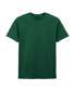 Fan Dark Green*