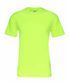 Electric Yellow