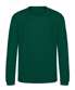Rainforest Green