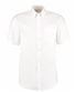 White*