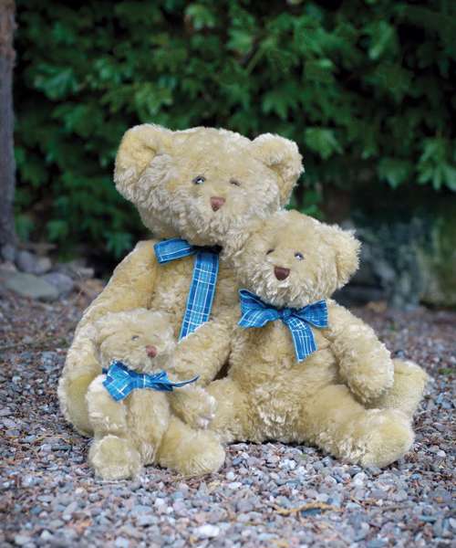 Bracken bear