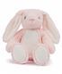 Pink Bunny
