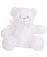 Teddy White