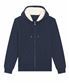 French Navy