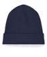 French Navy